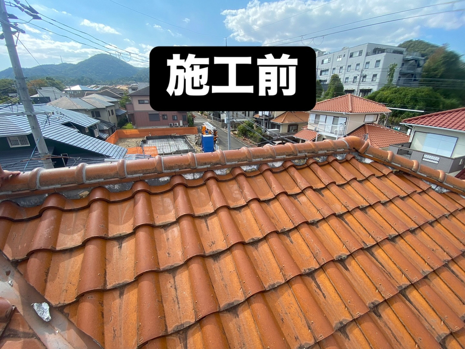 画像245