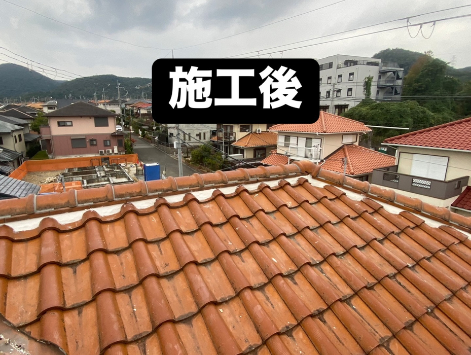 画像246