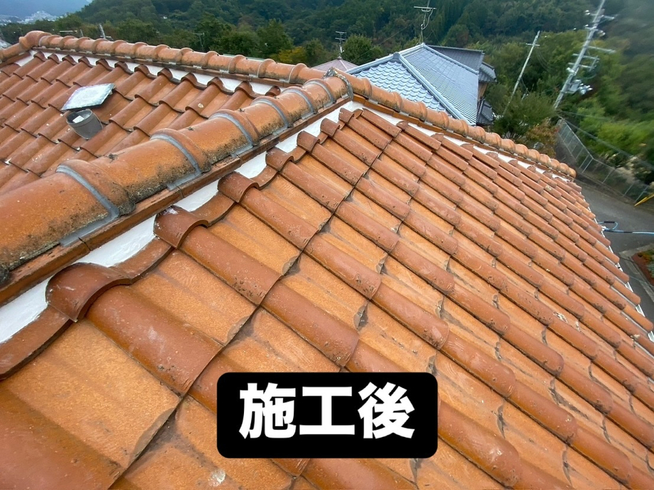 画像247