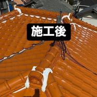 画像251