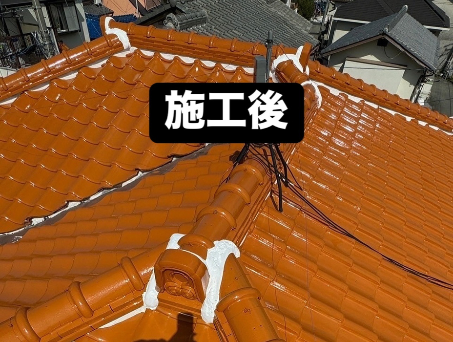 画像251
