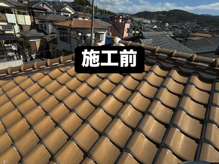 画像252