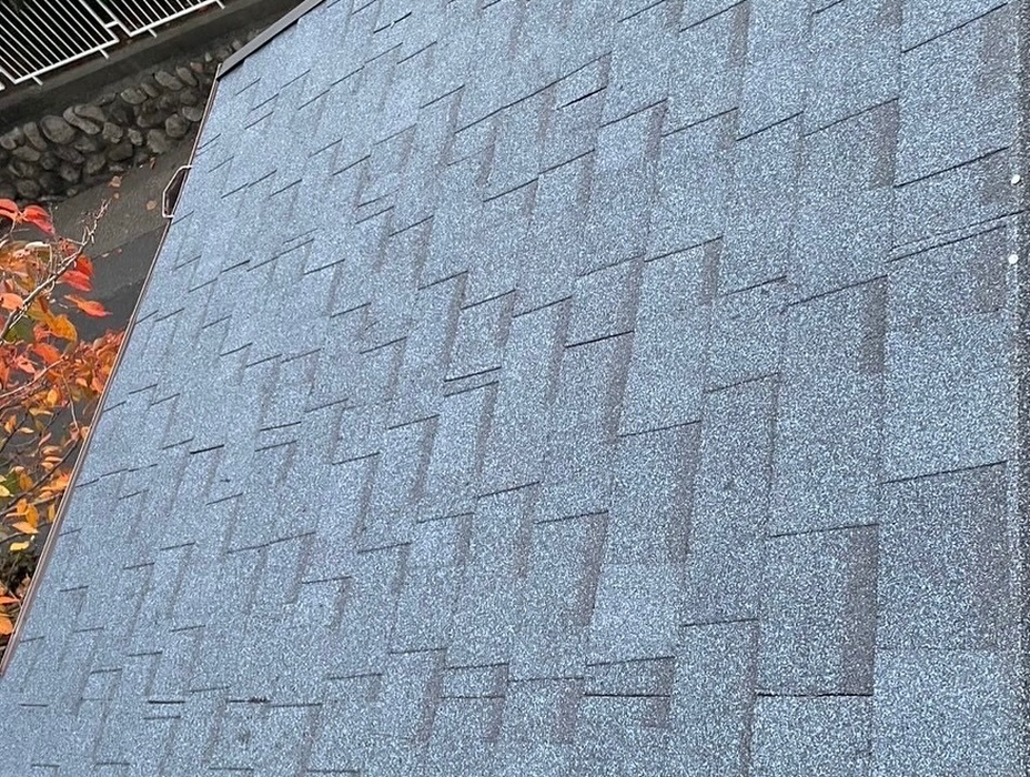 画像417