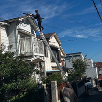 画像439