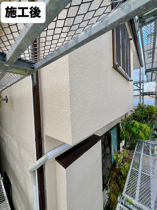 画像808